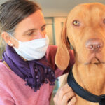 Bild von Tierärztin Tina Walter behandelt einen Hund